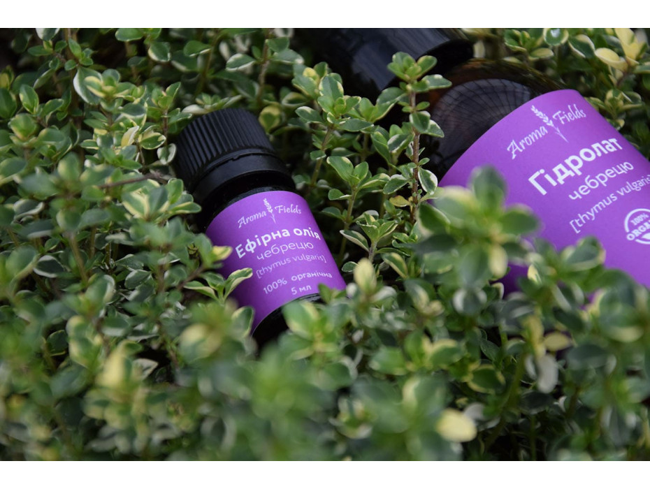 The Thyme Thymol essential oil 