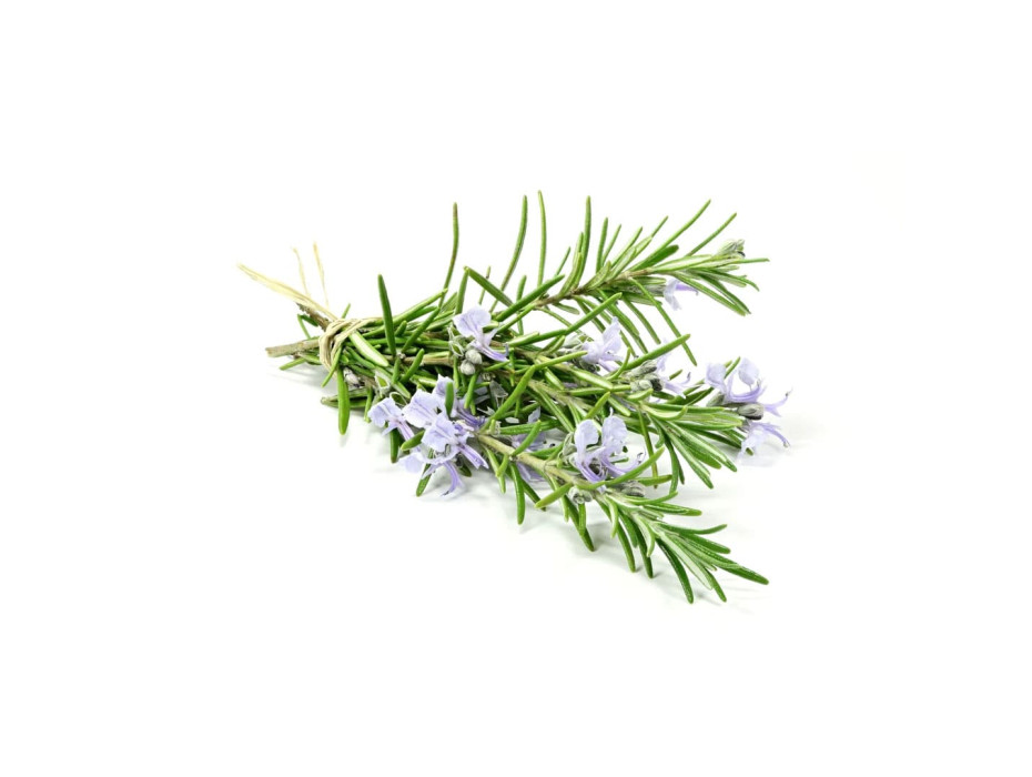 Rosemary therapeutic essential oil ct. verbenone 