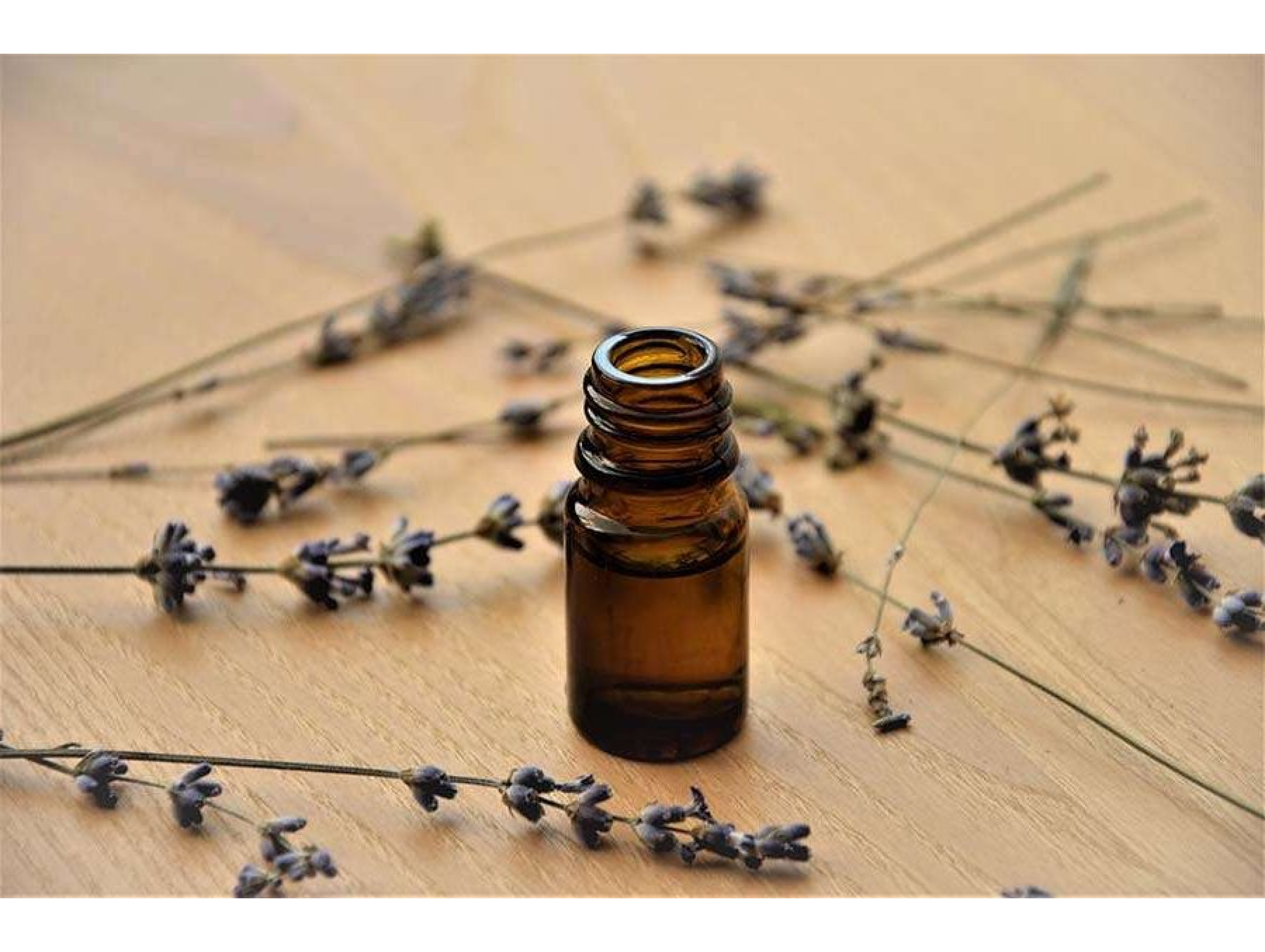 Lavender therapeutic essential oil 