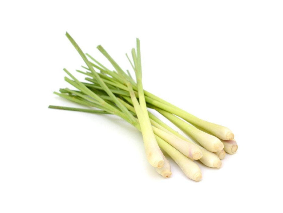 Lemongrass essential oil is therapeutic