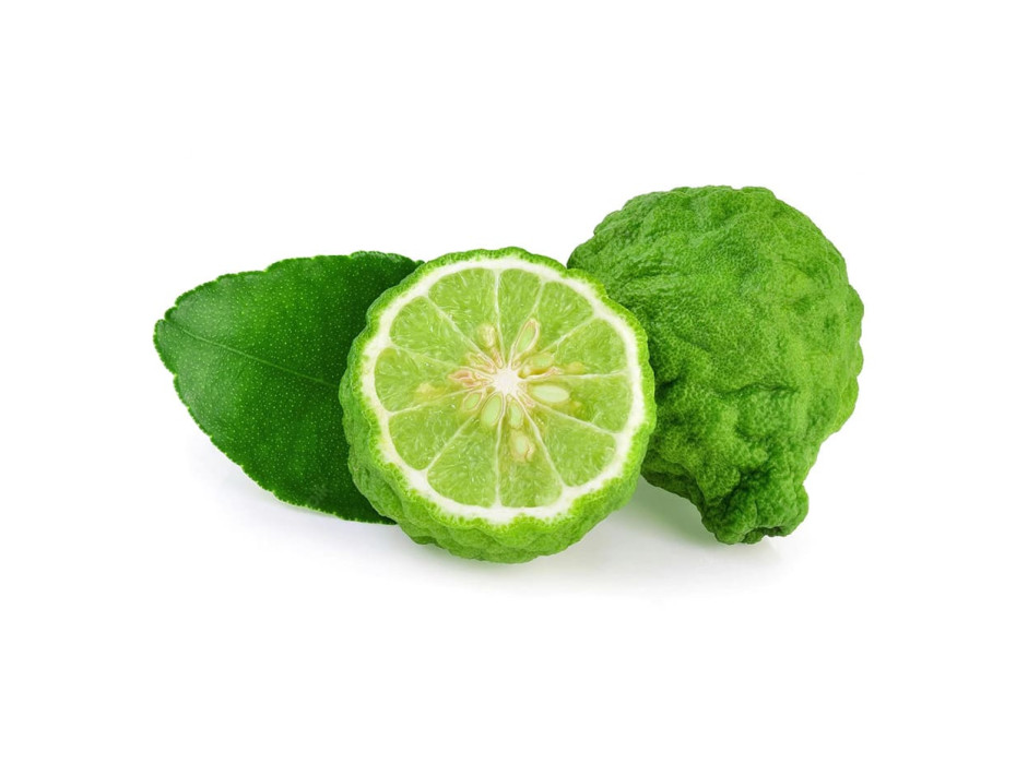 Bergamot essential oil is therapeutic