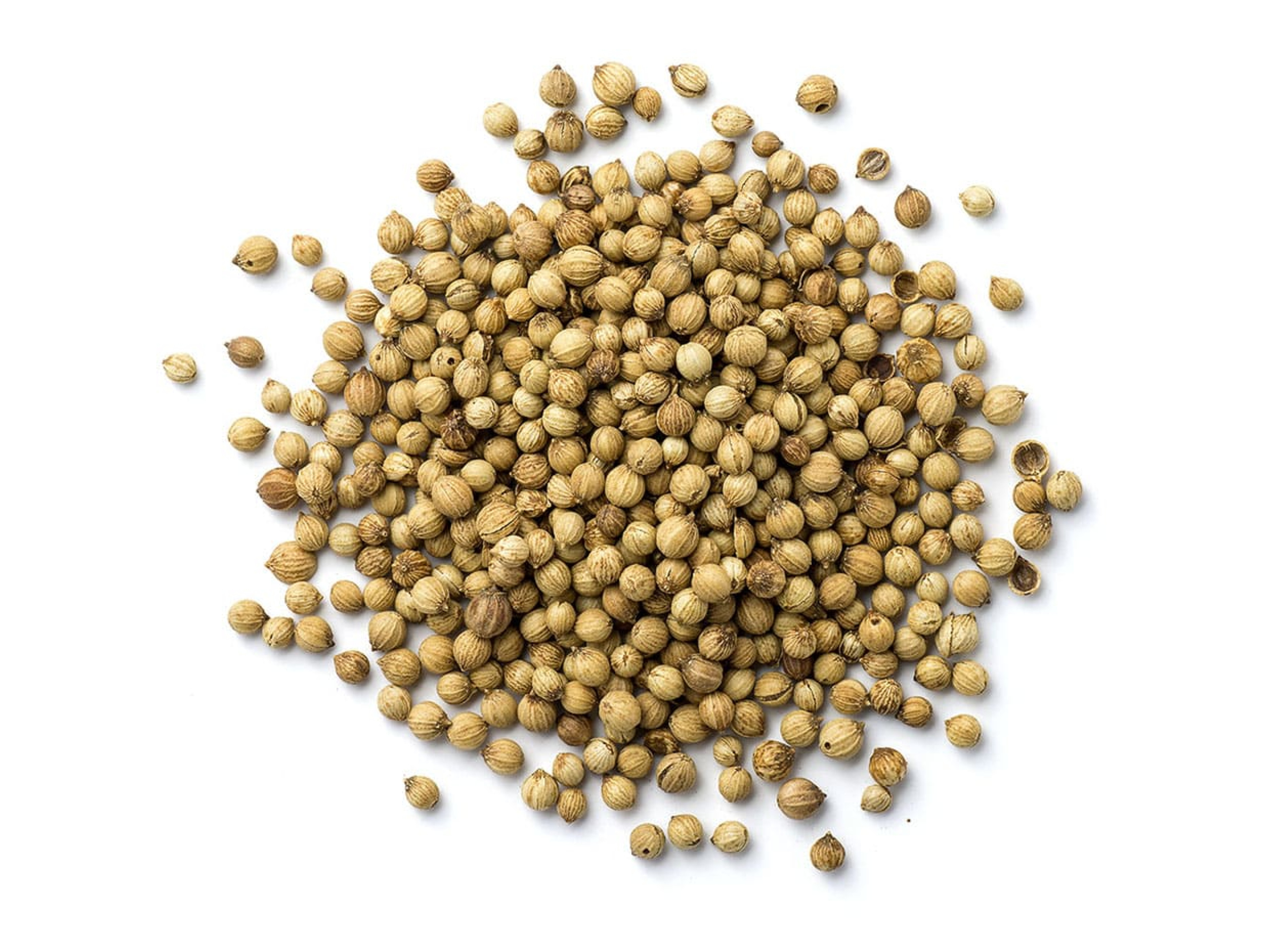 Coriander seed essential oil is therapeutic